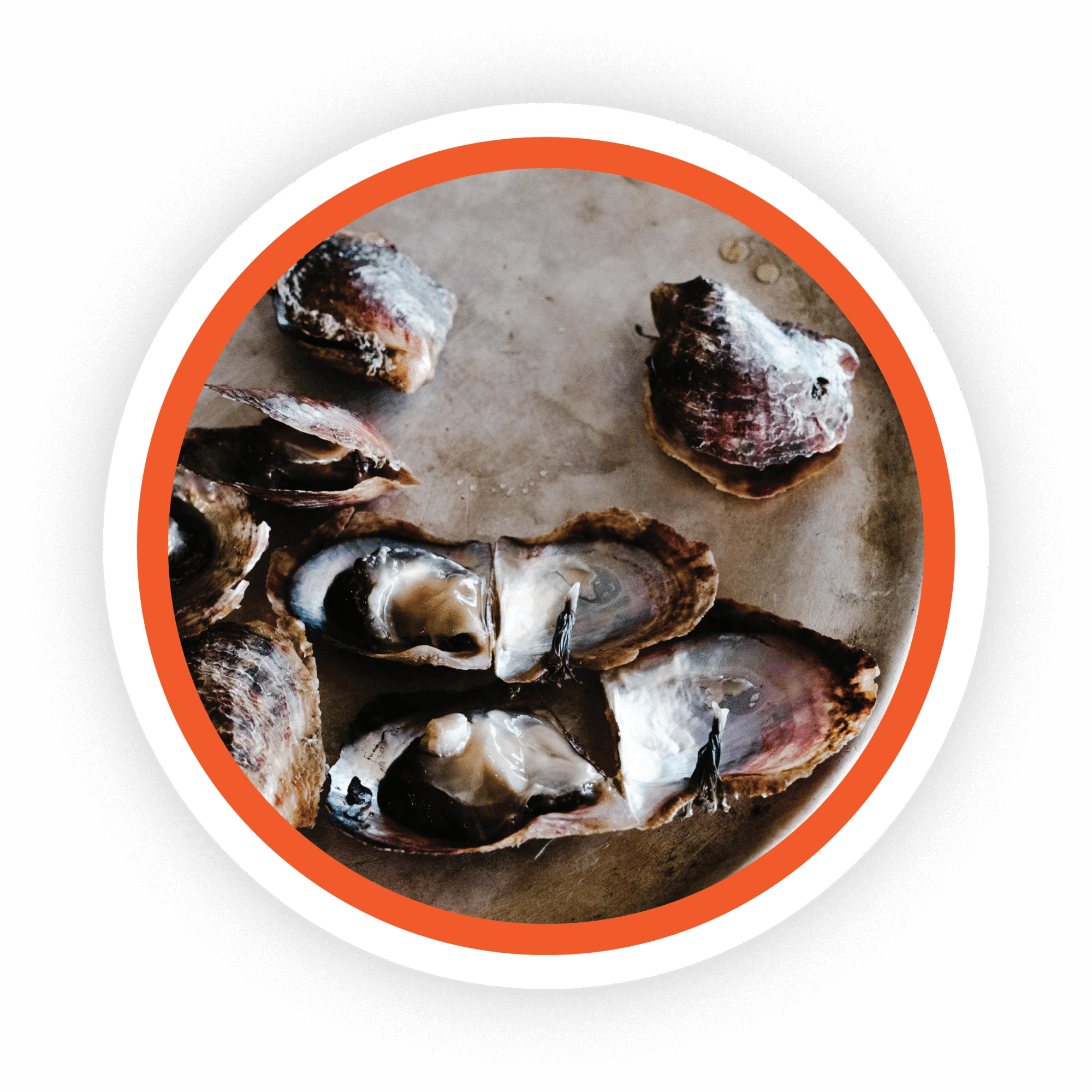 Sea Foods