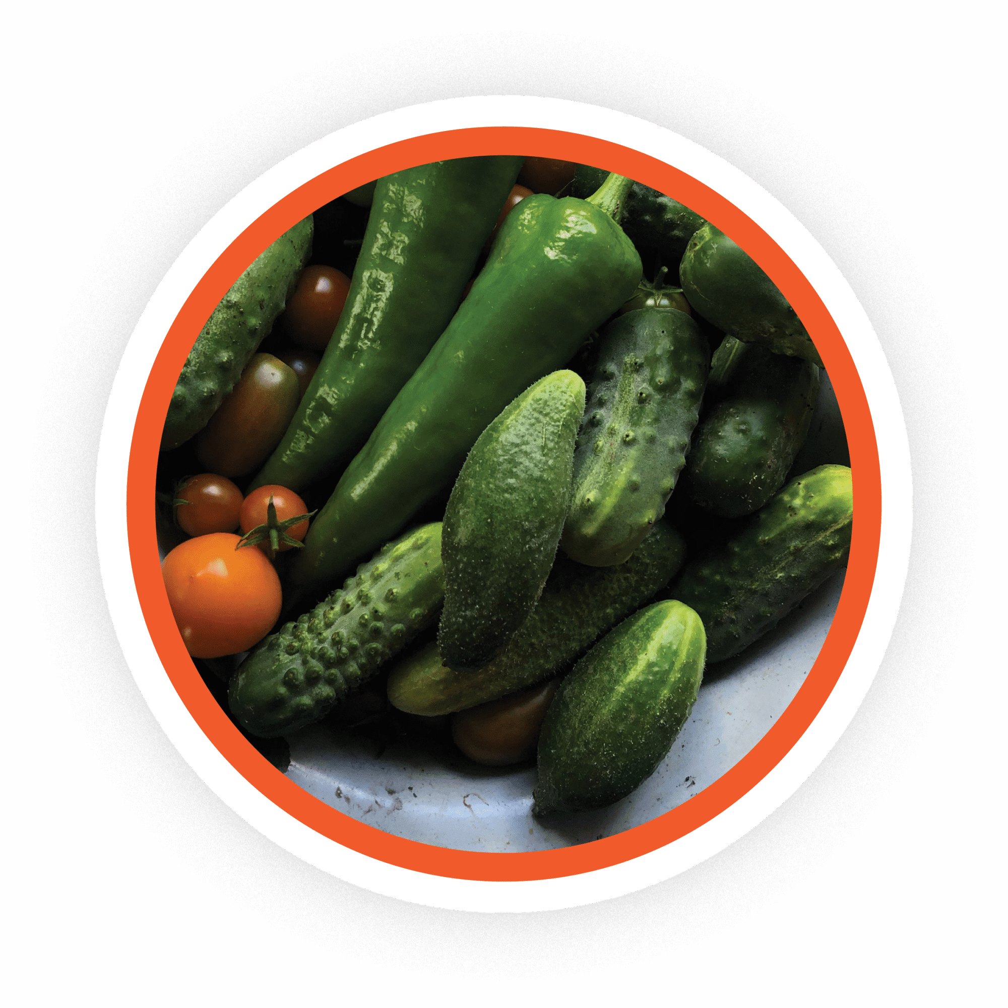 Fruit & Vegetables