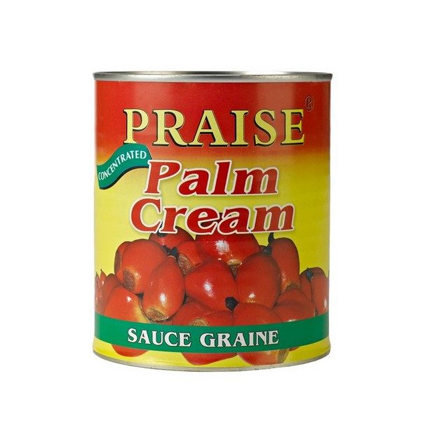 Praise palm butter 800g